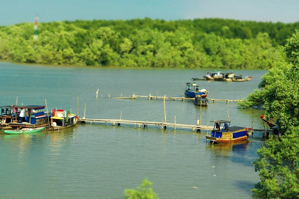 Can Gio Mangrove Forest Monkey Island Day Trip from Phu My Port